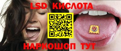 эйфоретик Новокубанск