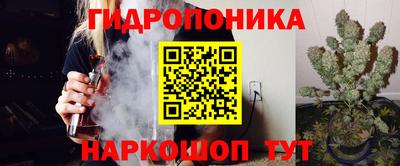 эйфоретик Новокубанск