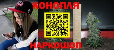 эйфоретик Новокубанск