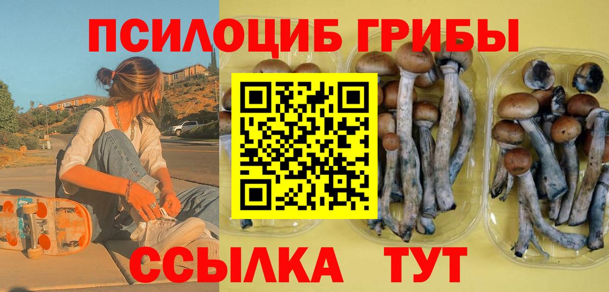 Псилоцибиновые грибы Psilocybe Советский
