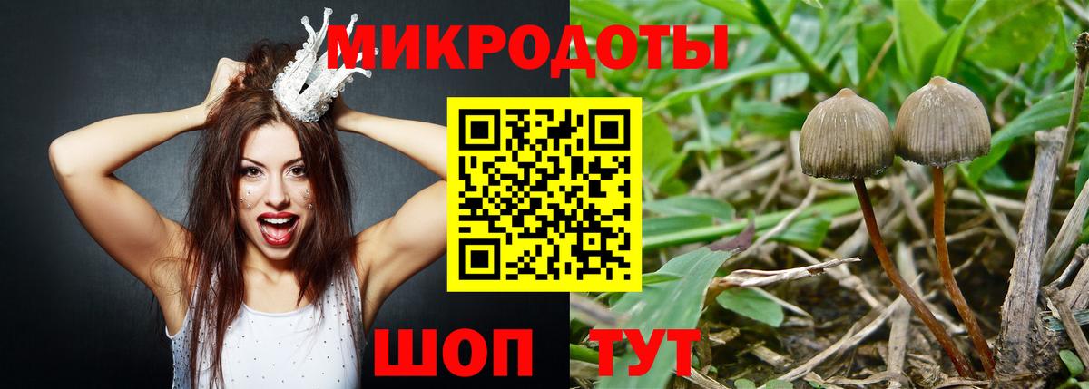 Псилоцибиновые грибы Magic Shrooms  хочу наркоту  Советский  Вход с VPN 